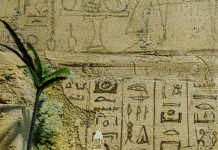 Bucureștiul are camere de Escape Rooms premiate la „Best of Morty 2025”