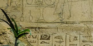 Bucureștiul are camere de Escape Rooms premiate la „Best of Morty 2025”