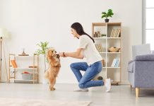 Top 7 metode eficiente de educare a animalelor de companie