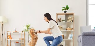 Top 7 metode eficiente de educare a animalelor de companie