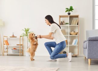 Top 7 metode eficiente de educare a animalelor de companie