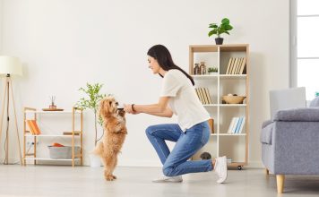 Top 7 metode eficiente de educare a animalelor de companie