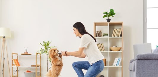Top 7 metode eficiente de educare a animalelor de companie